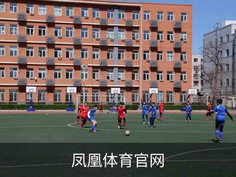 用户常见的问题解答?